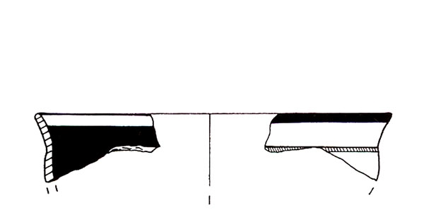 CISNEROS ET ALII. 2000, fig. 4