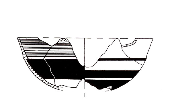 CISNEROS ET ALII. 2000, fig. 5