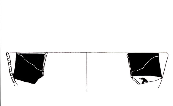 CISNEROS ET ALII. 2000, fig. 5