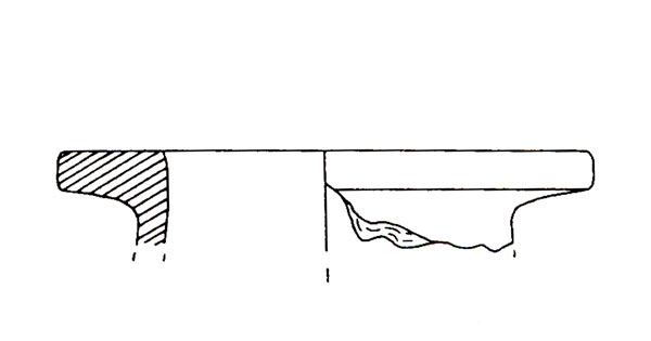 CISNEROS ET ALII. 2000, fig. 10
