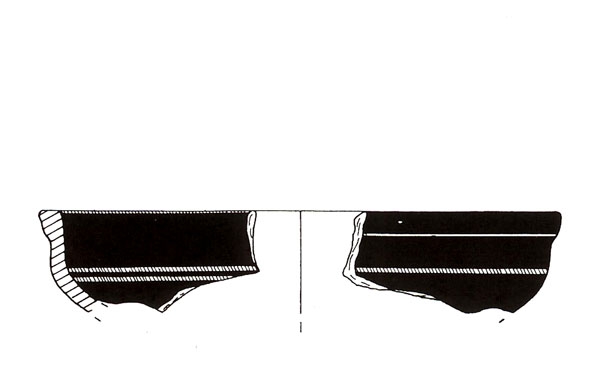 CISNEROS ET ALII. 2000, fig. 6