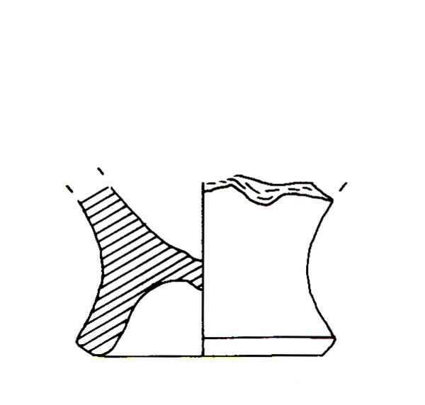 CISNEROS ET ALII. 2000, fig. 11