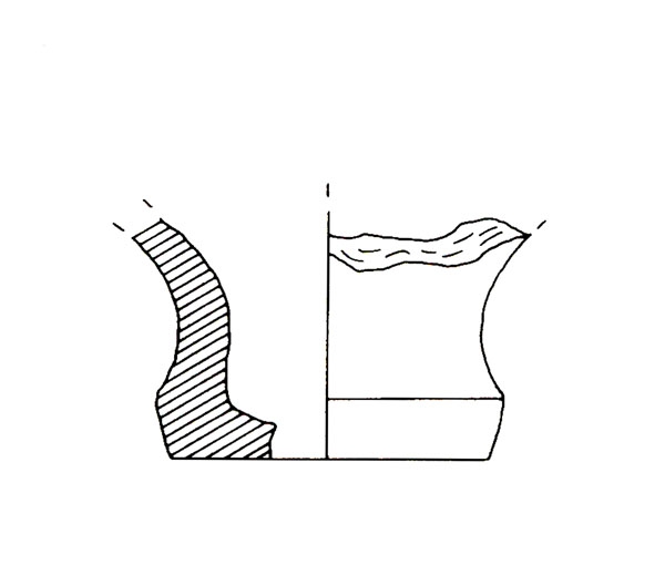 CISNEROS ET ALII. 2000, fig. 11