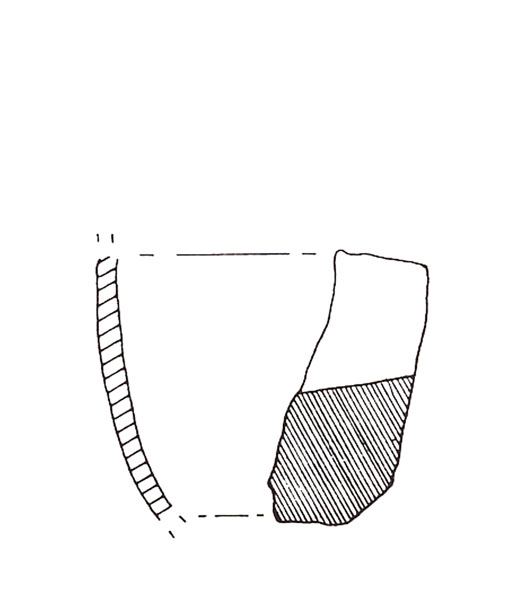 CISNEROS ET ALII. 2000, fig. 8