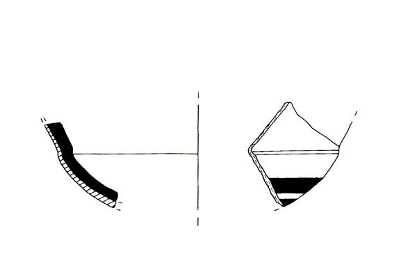 CISNEROS ET ALII. 2000, fig. 3