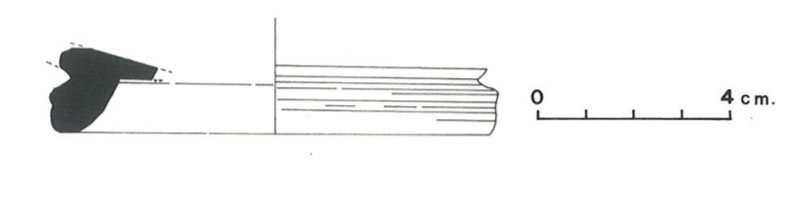 Pallarés Gracia Munilla 1985. Fig.08