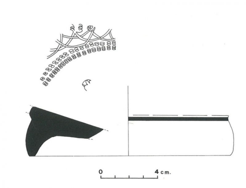 Pallarés Gracia Munilla 1985. Fig.11