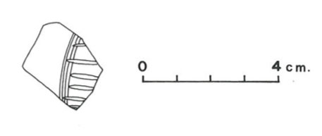 Pallarés Gracia Munilla 1985. Fig.13