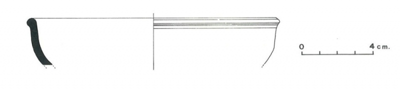 Pallarés Gracia Munilla 1985. Fig.15