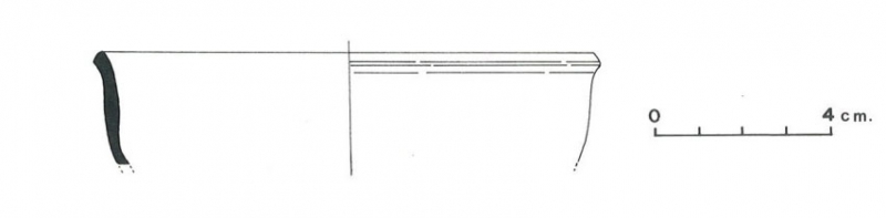 Pallarés Gracia Munilla 1985. Fig.16