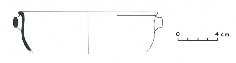 Pallarés Gracia Munilla 1985. Fig.19