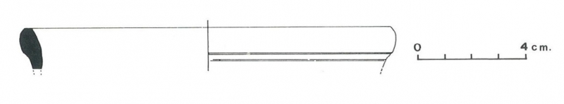 Pallarés Gracia Munilla 1985. Fig.21