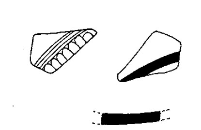 Pallarés Gracia Munilla 1985b. Fig.31-3
