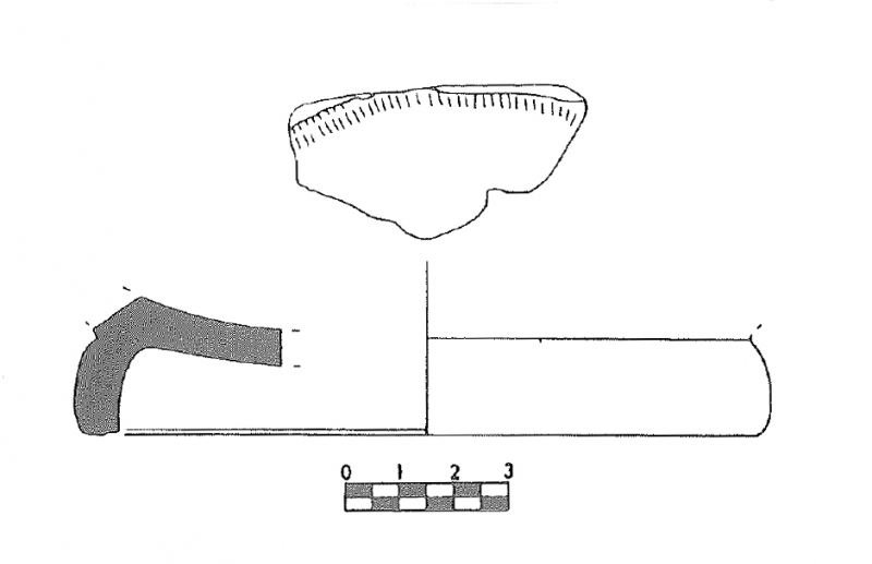 PAYÀ PUIG REYES 1994. Fig.20-1