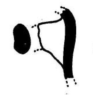 Barberà/Mata 1982-1983