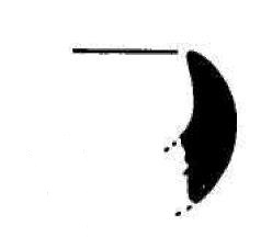 Barberà/Mata 1982-1983