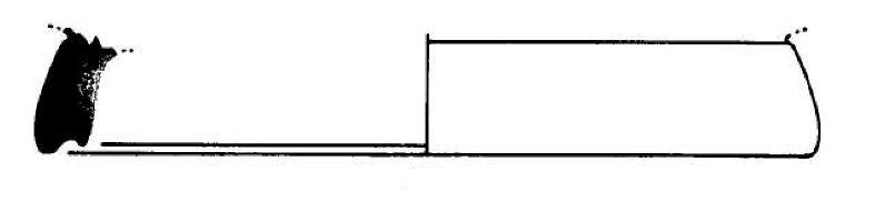 Barberà/Mata 1982-1983