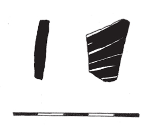 PÉREZ CONILL 2005. Fig.9-8