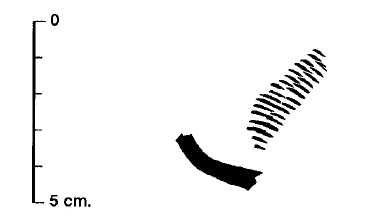 PRINCIPAL 1995. Fig.33-10