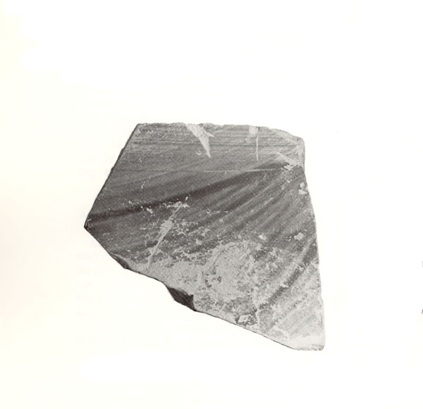 CABRERA 1985, lám. II, 3