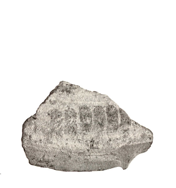 CABRERA 1985, lám. I