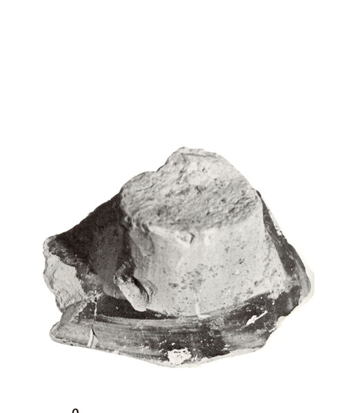 CABRERA 1985, lám. II, 4