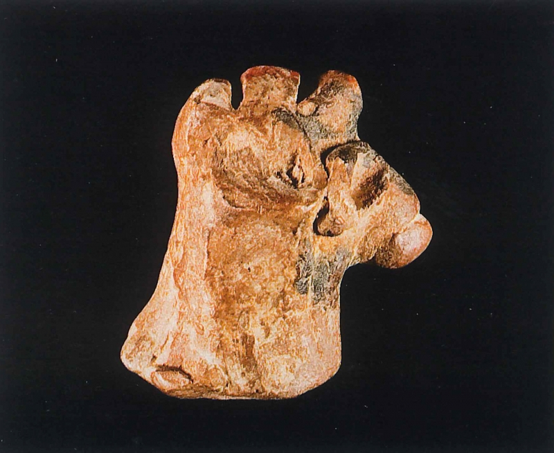 RAMOS 2020 p.328 nº 213