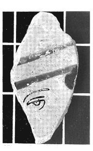 A. Oliver, F. Gusi 1995