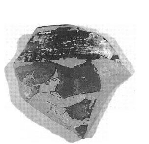 A. Oliver, F. Gusi 1995