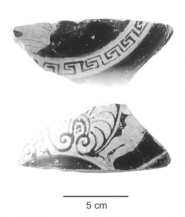 Roquer 2003-2008. Fig.117