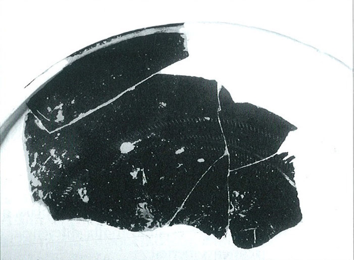 Roquer 2003-2008. Fig.119