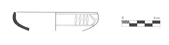 Roquer 2003-2008. Fig.121-15