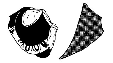 sanmarti 96, fig11-115