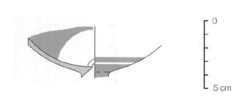 Sanmarti Asensio Martin 2002 Fig.18-09
