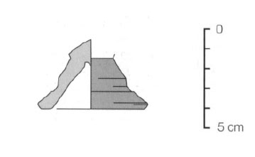 Sanmarti Asensio Martin 2002 Fig.18-11
