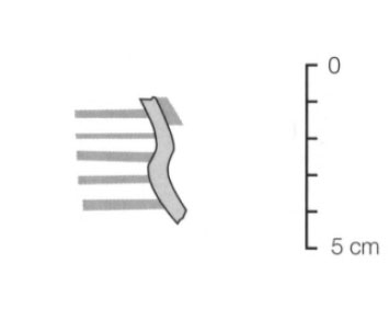 Sanmarti Asensio Martin 2002 Fig.18-4
