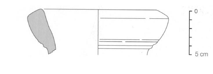 Sanmarti Asensio Martin 2002 Fig.24-5