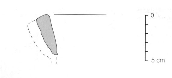 Sanmarti Asensio Martin 2002 Fig.24-8