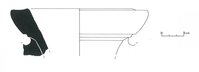Sanmartí Santacana 1992. Fig. 64-11