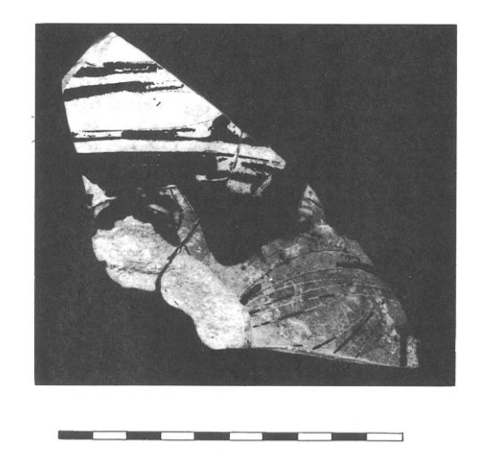 Sanmartí Santacana Serra 1984. Lam. IV- 3