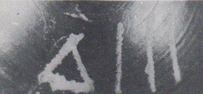 CUADRADO 1987, lám. XX-5.