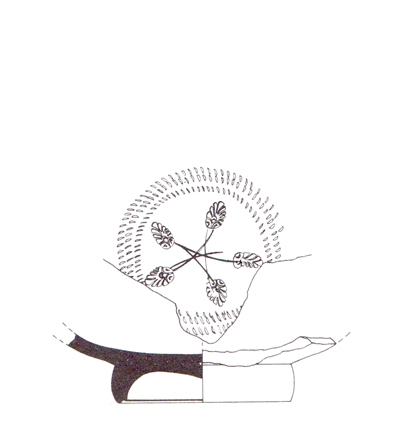 CUADRADO 1987, P. 416, 3, T229, fig. 177-3.