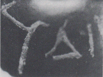 CUADRADO 1987, lám. XX-2.