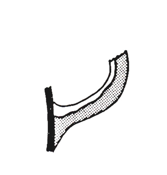 GRAN AYMERICH 1988, fig. 2, nº 11