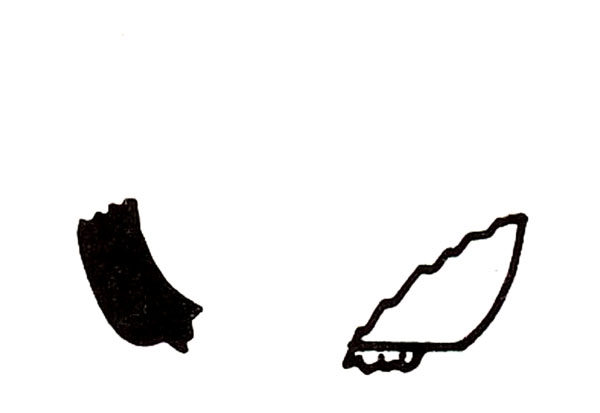 GRAN AYMERICH 1988, fig. 7, nº 8