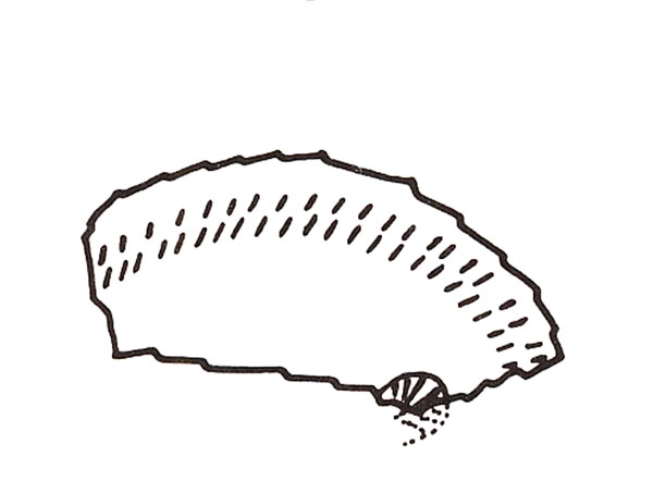 GRAN AYMERICH 1988. fig. 7, nº 12