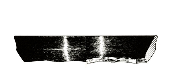 BLANCO, ROTHENBERG 1981, fig. 280, 1