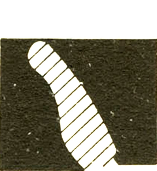 FERNÁNDEZ JURADO 1986, fig. 10