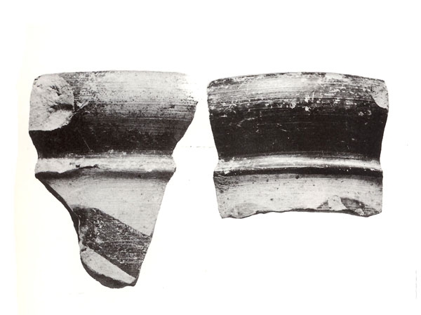 NIEMEYER 1979, lám. 9