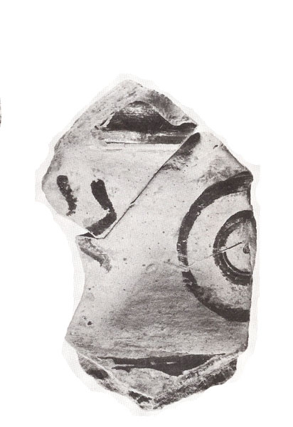 NIEMEYER  1979,  lám. 9